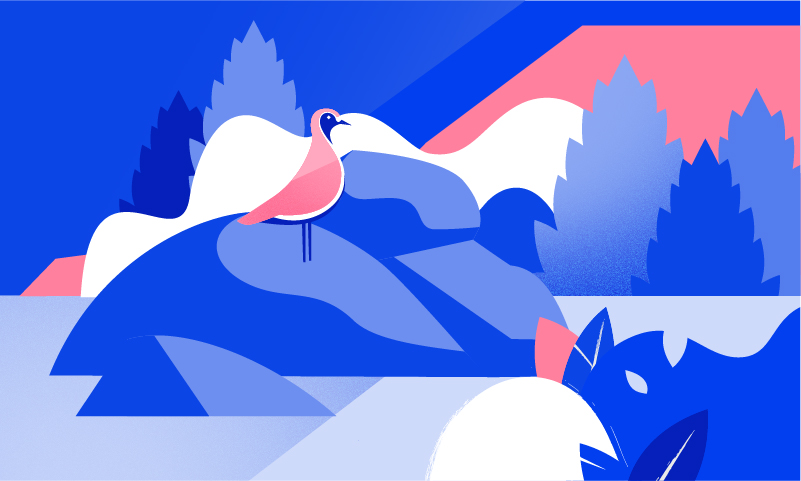 Græn skuldabréfaútgáfa Arion banka í íslenskum krónum - mynd